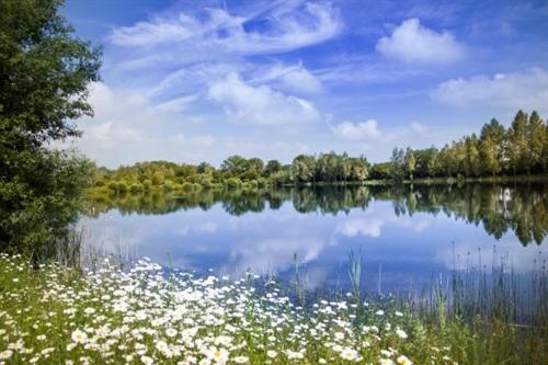 Lake Pochard Holiday Lodges South Cerney Dış mekan fotoğraf